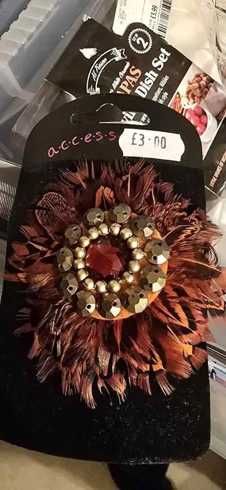 Photo of free Small hair accessory clip (Great Moor SK7) #1