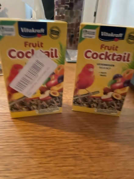 Photo of free Canary food (East Barnet EN4) #1