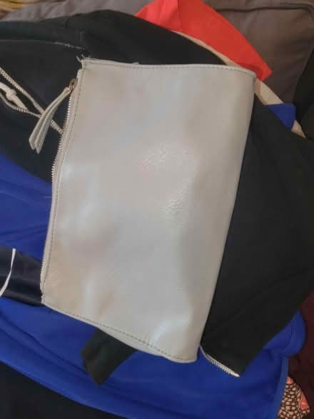 Photo of free Clutch (Prospect heights.) #1