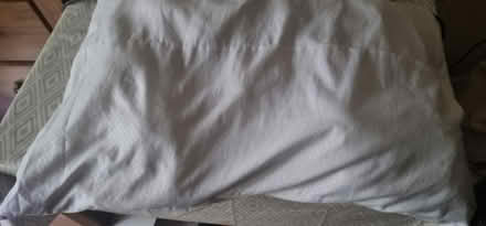 Photo of free Pillow (Longsight M13) #1