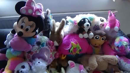 Photo of free Lots of furry stuffed toys (S8 Lowedges) #2