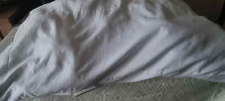 Photo of free Pillow (Longsight M13) #2