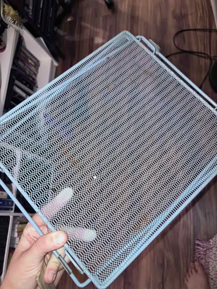 Photo of free Folding Stand (Takoma, DC) #2