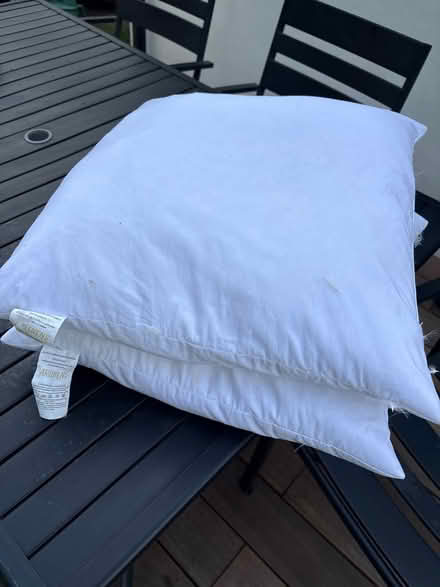 Photo of free 2 duck feather and down cushions (TW7) #2
