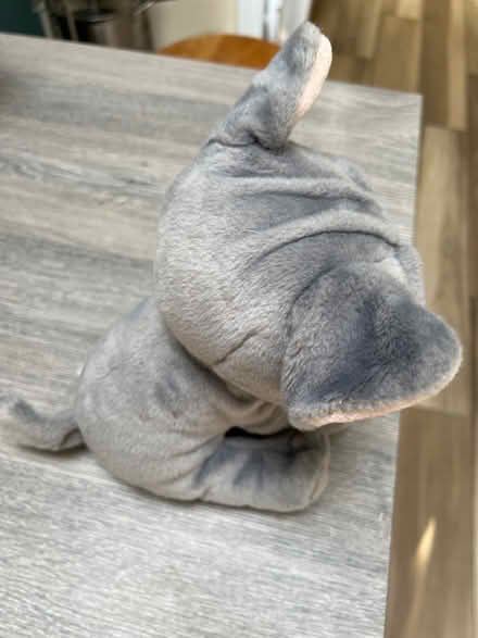 Photo of free Pug Plushie. Good condition (Southsea PO4) #2