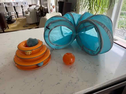 Photo of free Kitten toys (UWS near AMNH) #1