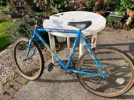 Photo of free Rusty old bicycle (Marldon) #1