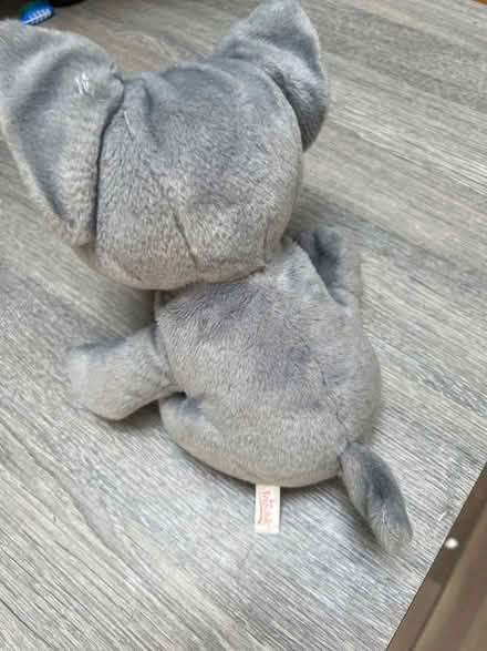 Photo of free Pug Plushie. Good condition (Southsea PO4) #3