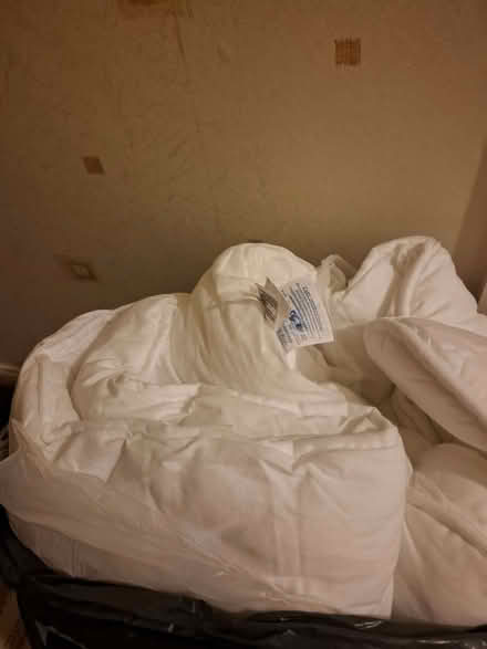 Photo of free Single duvet 13.5 tog (Stonehouse GL10) #1