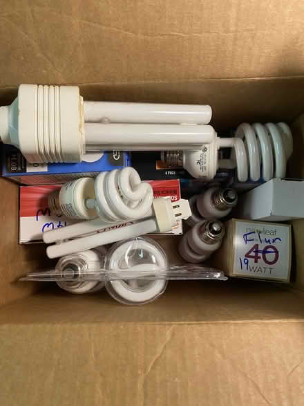 Photo of free Mini fluorescent light bulbs (Nr Fresh Pond & Mt Auburn Cem.) #2