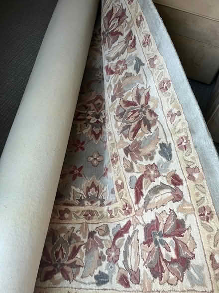 Photo of free Gorgeous area rug. Like new (Hopkins MN) #1
