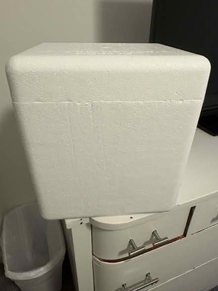 Photo of free Small styrofoam coolers + ice packs (West Springfield) #3