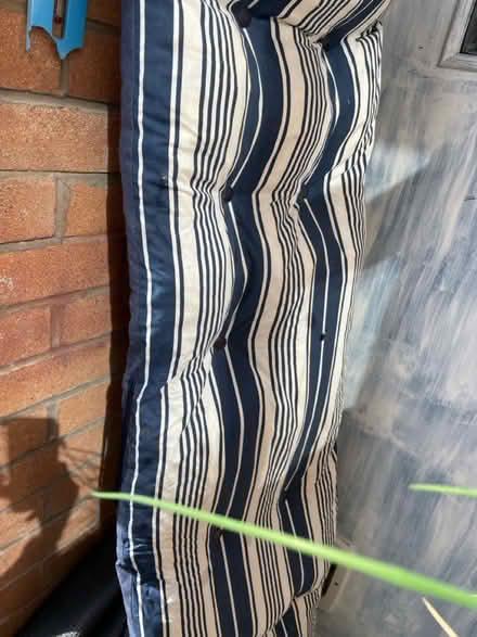 Photo of free outdoor chair cushion (Denton) #1