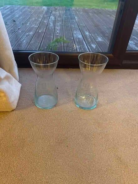 Photo of free 2 x 9” vases (South Oxfordshire OX9) #1