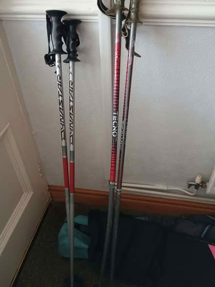 Photo of free Ski bags and poles (Moor Park L23) #3
