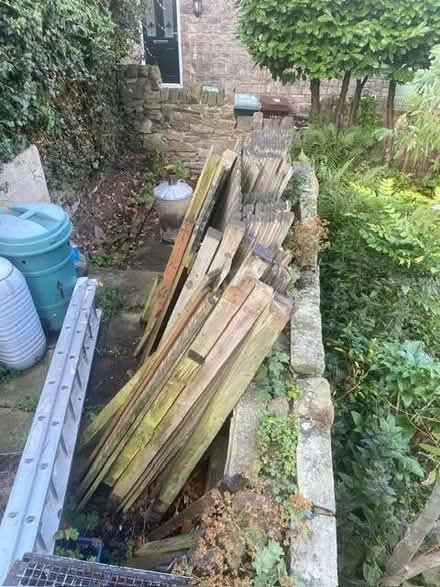 Photo of free Fence panels and posts (Saltaire BD18) #3