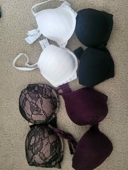 Photo of free Four bras (Alta Vista area) #1