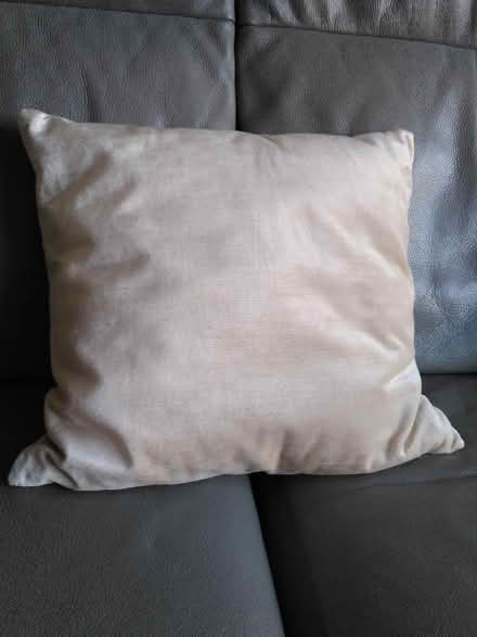 Photo of free Sofa Cushion (Castle MK40) #1