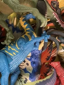 Photo of free Collection of Chap Mei model dinos (Nr Fresh Pond & Mt Auburn Cem.) #4