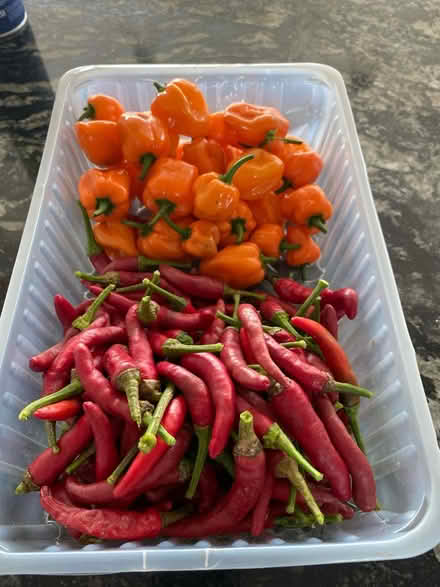 Photo of free Chilli’s (Wigton) #1