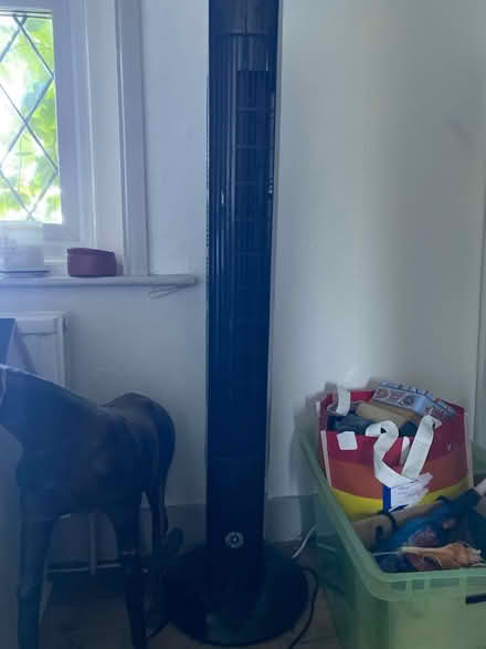 Photo of free Oscillating fan (Palehouse Common TN22) #1