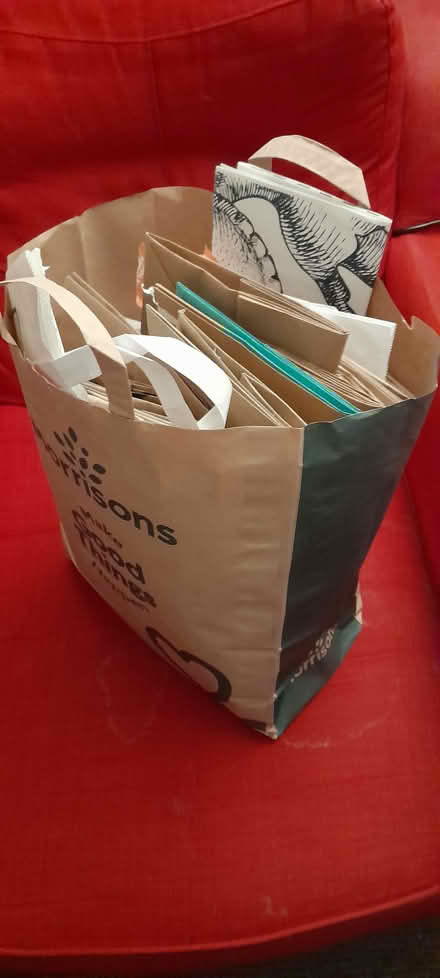 Photo of free Sturdy paper bags (Nelson BB9) #1