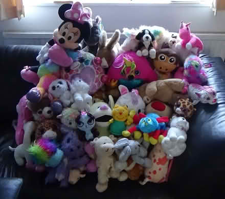 Photo of free Lots of furry stuffed toys (S8 Lowedges) #1