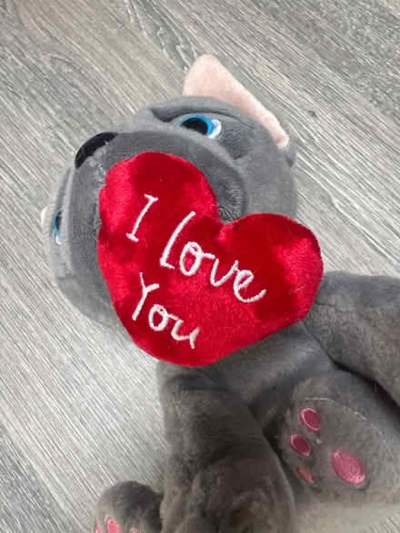 Photo of free Pug Plushie. Good condition (Southsea PO4) #4
