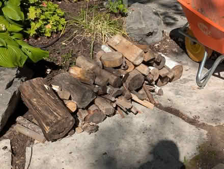 Photo of free Firewood at curb (Champlain Park) #1