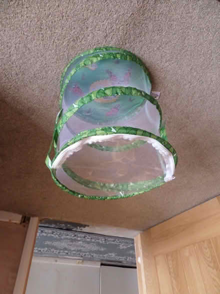 Photo of free Insect Lore Butterfly Garden (Northway OX3) #2