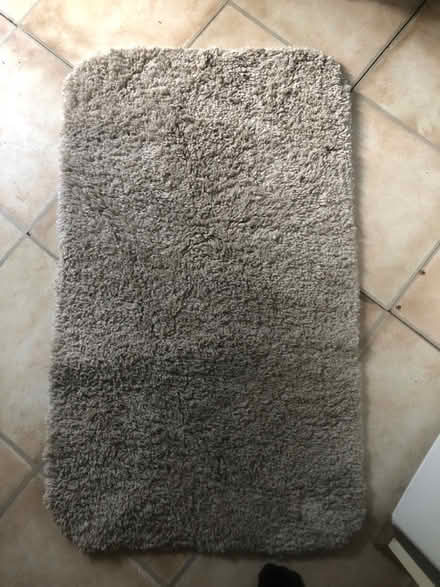 Photo of free Caramel coloured rug (Wisewood S6) #1