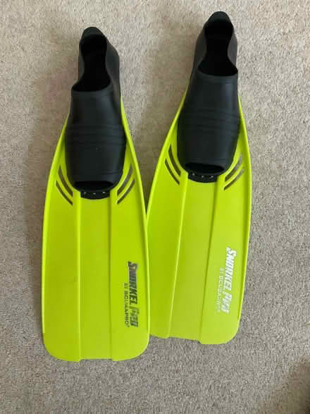 Photo of free Adults flippers (Old Malden KT4) #1