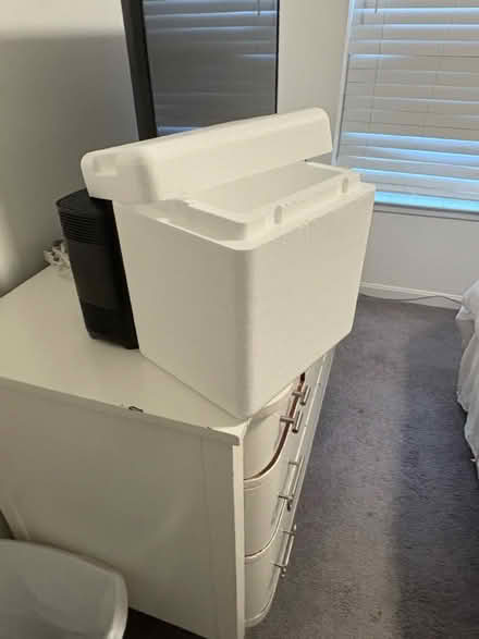 Photo of free Small styrofoam coolers + ice packs (West Springfield) #1