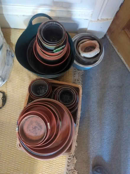 Photo of free Plant pots and saucers (G42) #1