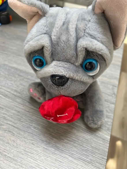 Photo of free Pug Plushie. Good condition (Southsea PO4) #1