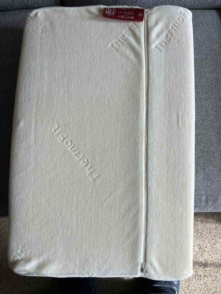 Photo of free Pillow (Gwespyr CH8) #2