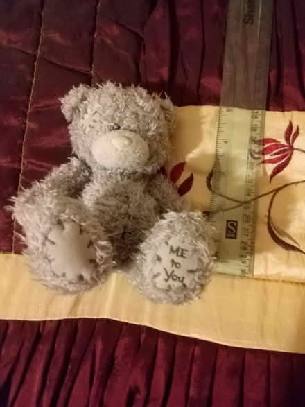 Photo of free Me to You bear 5 inches tall (Tonbridge) #1
