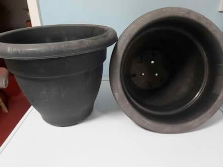 Photo of free Large plastic plant pots (Woolton L25) #3