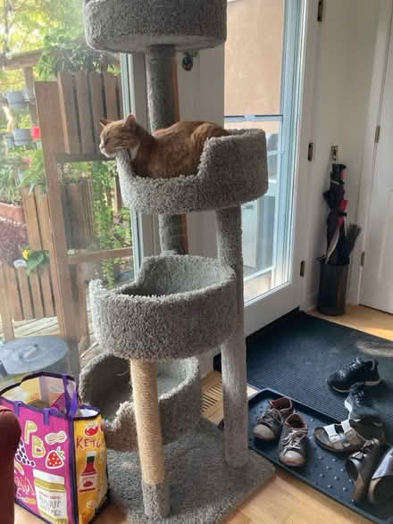 Photo of free Used Cat Condo, repaired (Evanston, near Penny Park) #2
