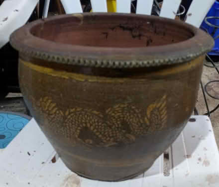 Photo of free Plant pot (Werrington) #2