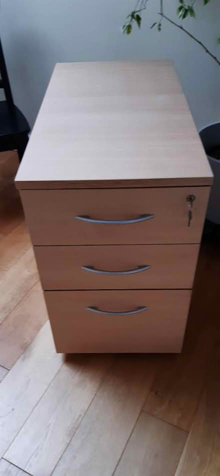 Photo of free Filing cabinet (Old Town BN20.) #1