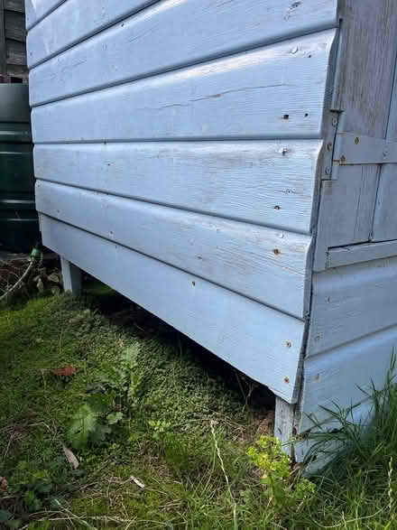 Photo of free Hen house (Teignmouth TQ14) #2