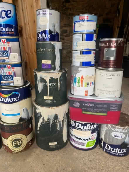 Photo of free Paint (Skelton TS12) #2