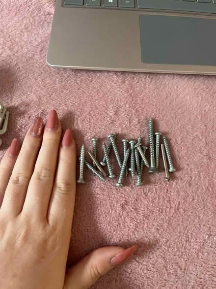 Photo of free small handfull of screws (SK1, central stockport) #1