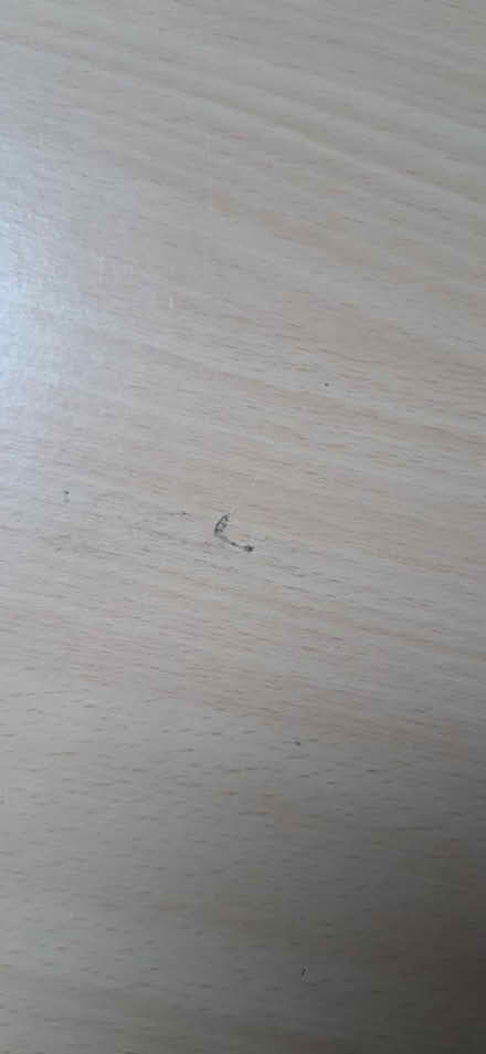 Photo of free Filing cabinet (Old Town BN20.) #4