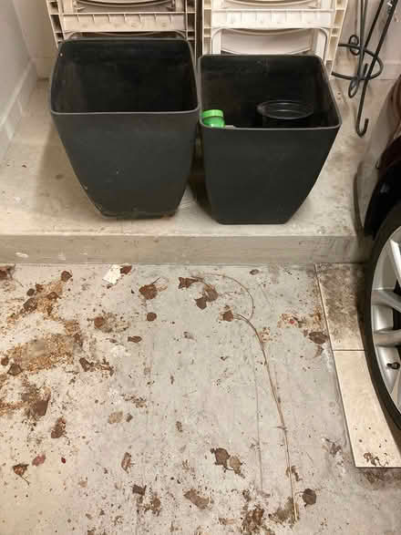 Photo of free Tall Outdoor Planters (Shelby Township) #1