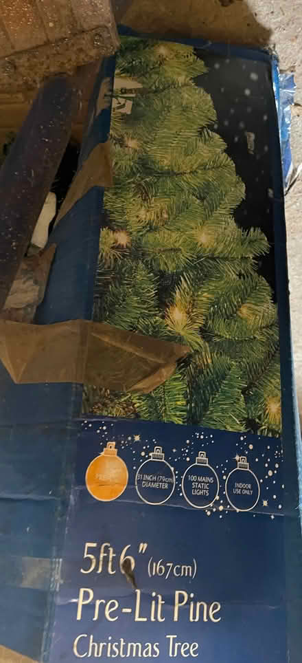 Photo of free Christmas Tree (Seaford BN25) #1