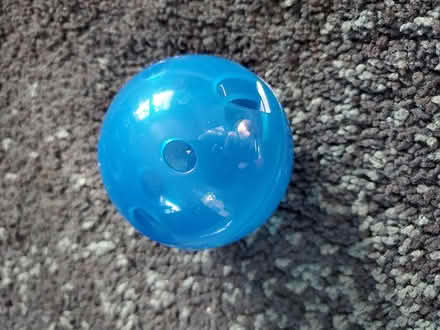 Photo of free Cat leash and harness (North Oakland) #2
