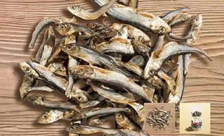 Photo of free Sprats (Scale Hall LA1) #1