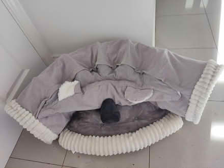 Photo of free Cat play tunnel (Coventry CV4 area) #1